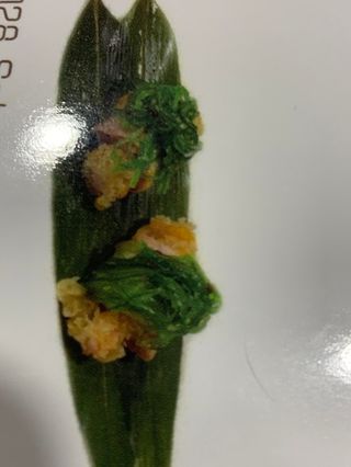 128.salmone wakame 2pz