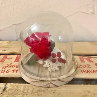 Cúpula peque