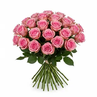 25 Roses - Bouquet De 25 Roses Roses