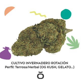 Variedad Terrosa/Herbal Invernadero 4 Gr