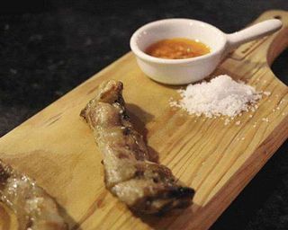 Lagartos Porco Preto