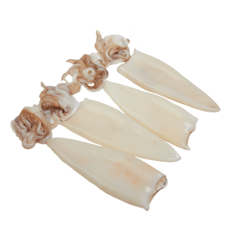 Calamar Mediterráneo(500gr) limpio entero