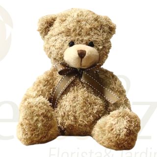 Urso de Peluche Harry