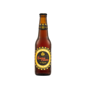 Birra Artigianale Rossa 7% 