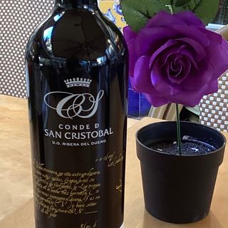 CONDE DE SAN CRISTÓBAL