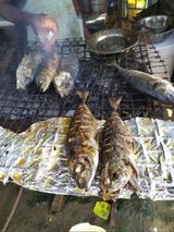 Poisson maquereau frais braisé