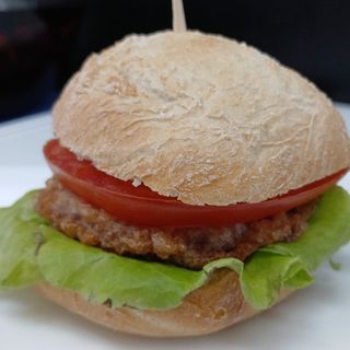 Hamburguesita Bonsai