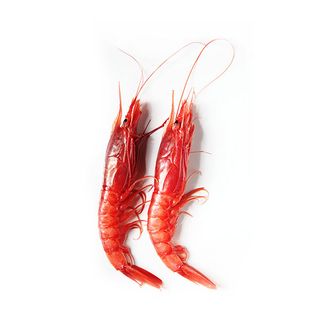 187-Sashimi gambero rosso