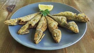 Сафрид пържен (250г)