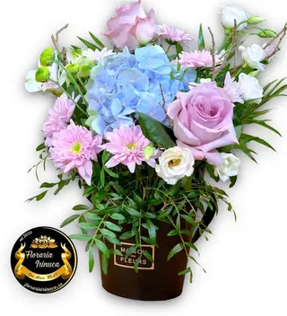 Exotic Flowers