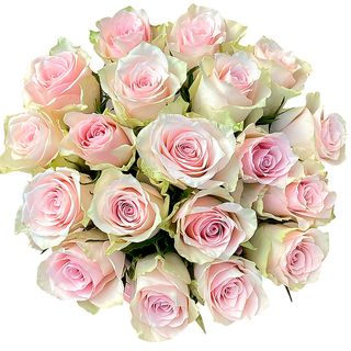 Квіти в коробці “19 троянд Pink Athena” 