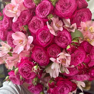 Bukiet „Malinowe ciasteczka” - L 