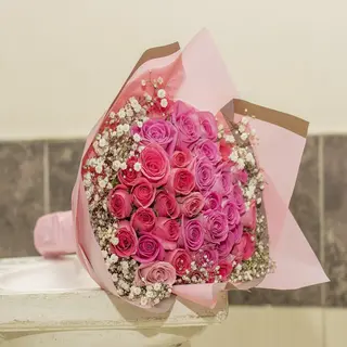 Coral Blush