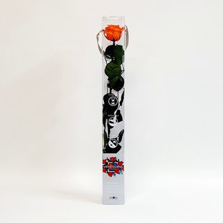 Una Rosa Naranja Preservada