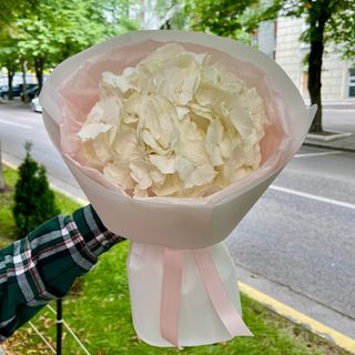 Букетик-комплімент «Біла гортензія»