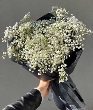 5 гілок білої гіпсофіли в упакуванні №17