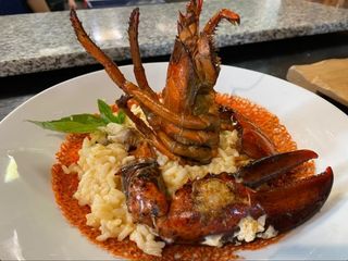 Risotto De Bogavante