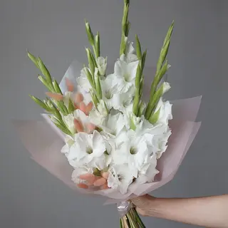 თეთრი გლადიოლუსები