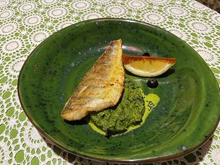 Річкова риба на шпинатній подушці