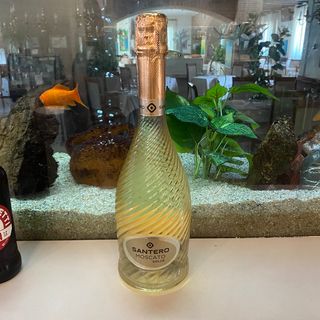 Moscato santero 75cl 5.5vol 