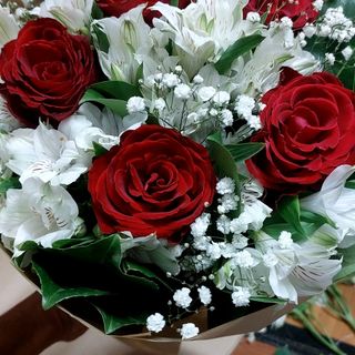 Rosa rosso astronomia un po' di fiori bello