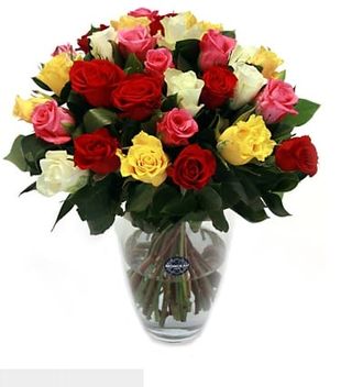 Beleza Multicolor (13 Rosas)