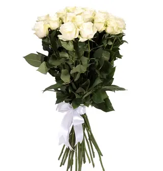 25 trandafiri albi
