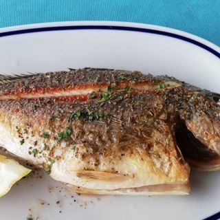 Orata alla griglia 