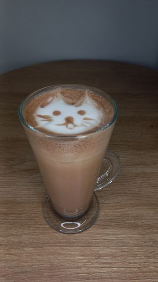 Какао (340мл)