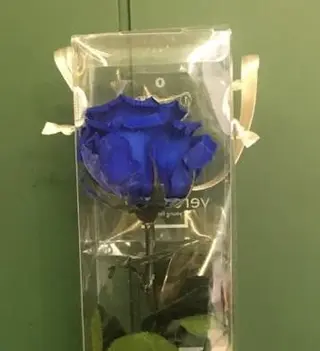 Rosa Preservada Azul