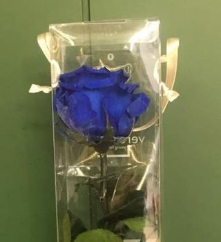 Rosa Preservada Azul