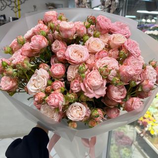 Мадам Бомбастік 13шт