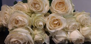 16 Bouquet di 7 rose bianche extra