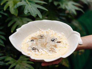 Банош з куркою, грибним соусом та бринзою 410г