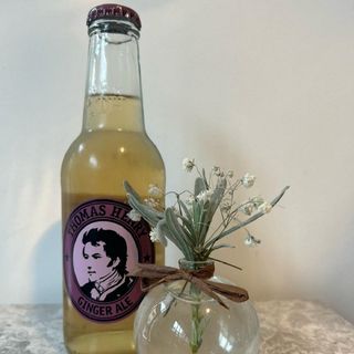 Thomas Henry Ginger ale 0.20l