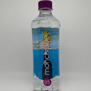 Agua Alcalina PH 9,5 (500 ml.)