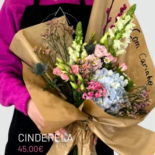 CINDERELA COM CARINHO