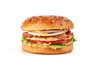 Hanburger pui-300gr