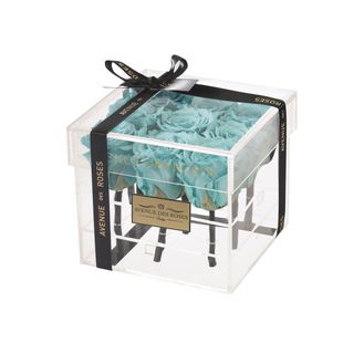 9 trandariri criogenati luxury