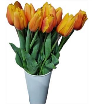 ყვითელი ტიტების თაიგული