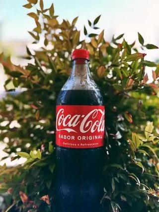 Coca-Cola 1 Litro