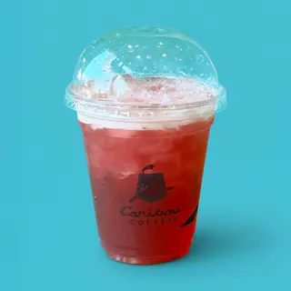 Fruit Splash