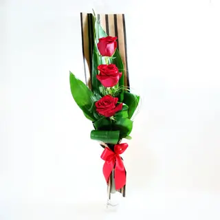 Intenso de Rosas