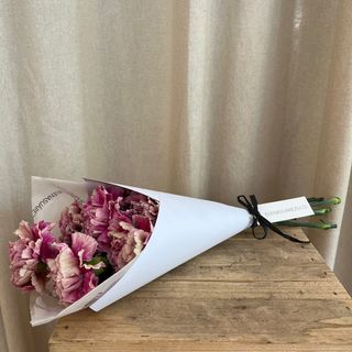 Paquete de 10 Claveles