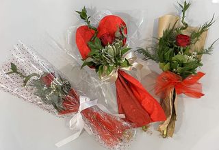 Crvena ruža i lucky bamboo u celofanu s mašnom