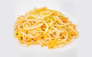 613 Yasai udon