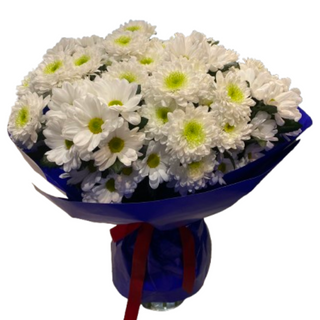 Bukiet Margaretek <<L<<