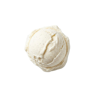 Ice Cream Scoop