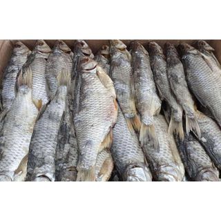 Krasnopiórka Suszona 100g