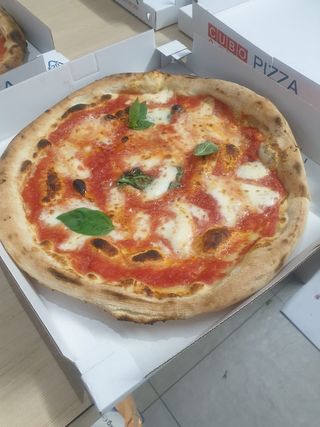 Pizza Margherita